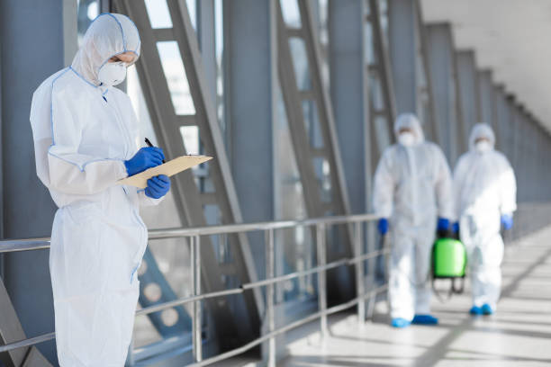 Reliable Taneytown, MD Mold Removal Solutions