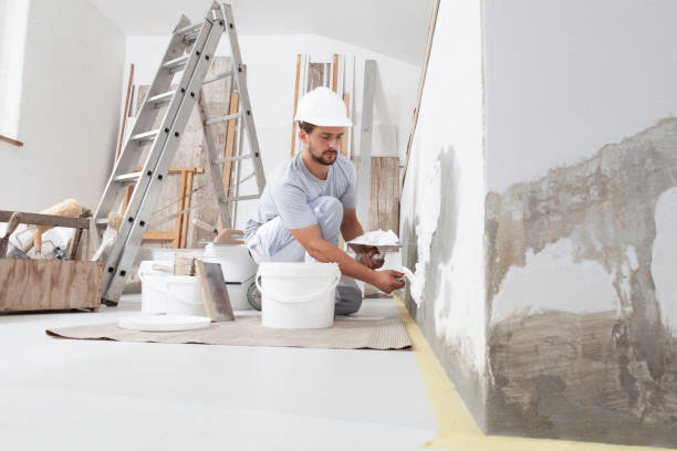Best Mold Remediation for Healthcare Facilities  in Taneytown, MD
