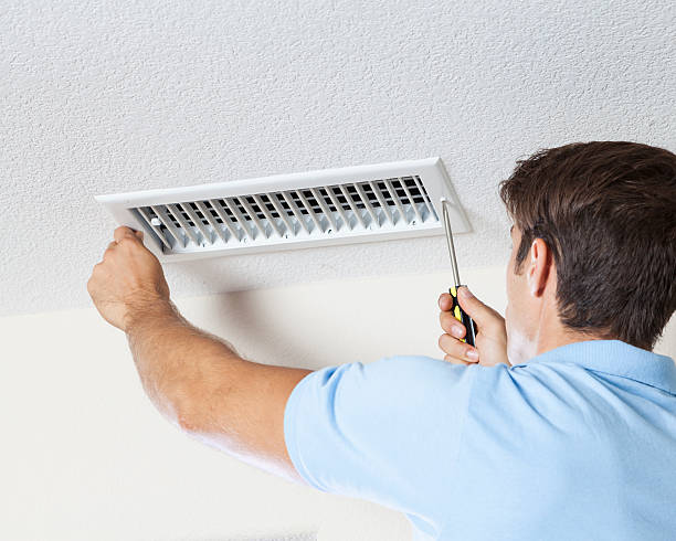 Best Industrial Mold Remediation  in Taneytown, MD